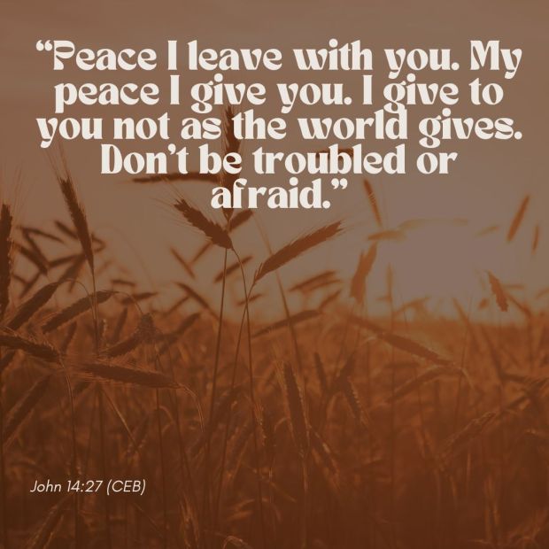 xr:d:DAGAncGiEo4:4,j:5880998104413982920,t:24032613