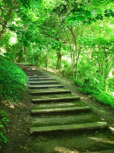 Confession 247: Refreshment