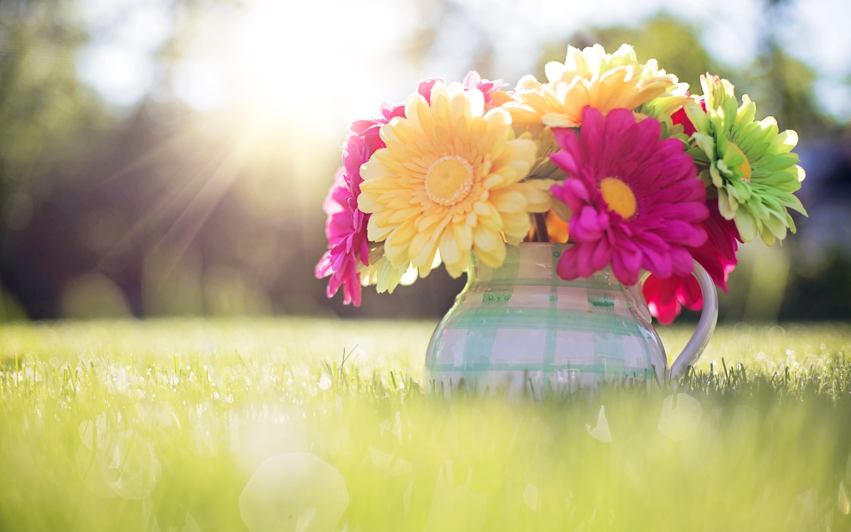 flowers