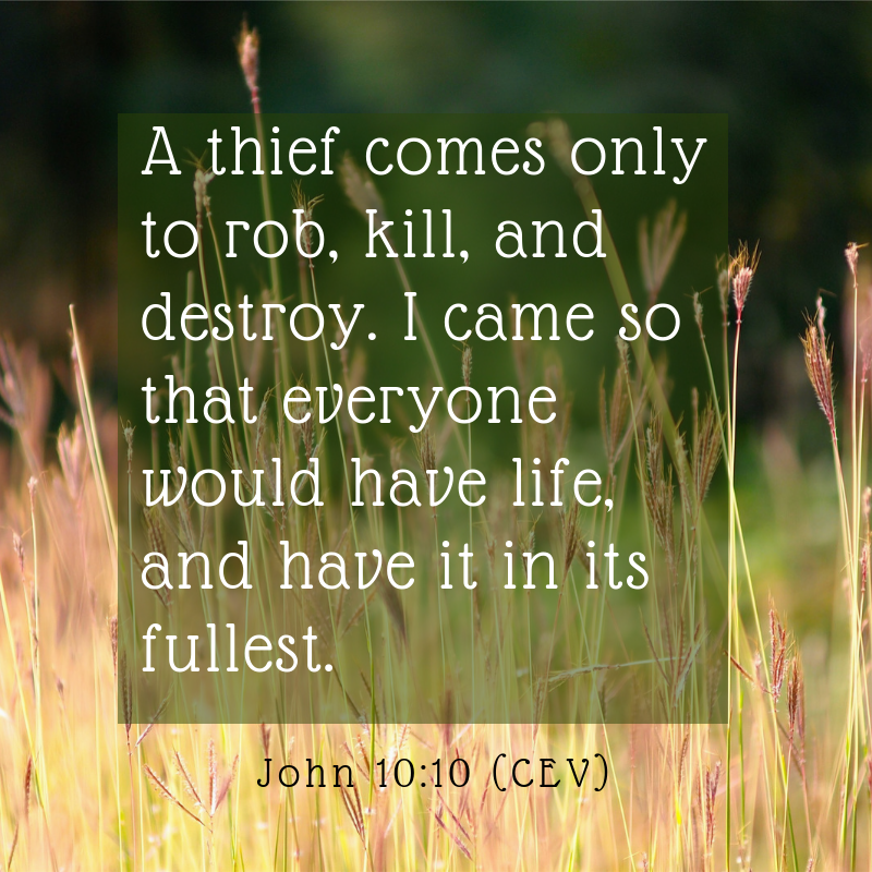 Today,I choose tobe happy!-2