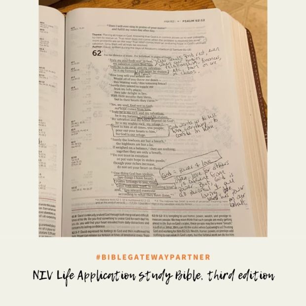NIV Life Application study Bible, third edition-3