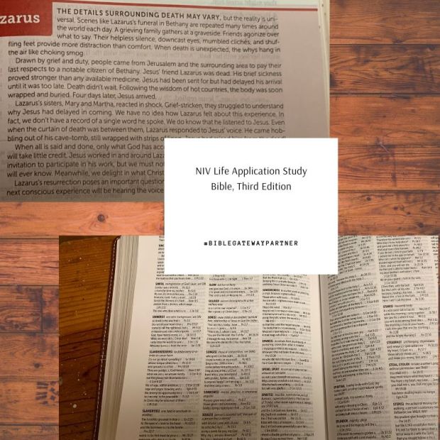 NIV Life Application study Bible, third edition-6