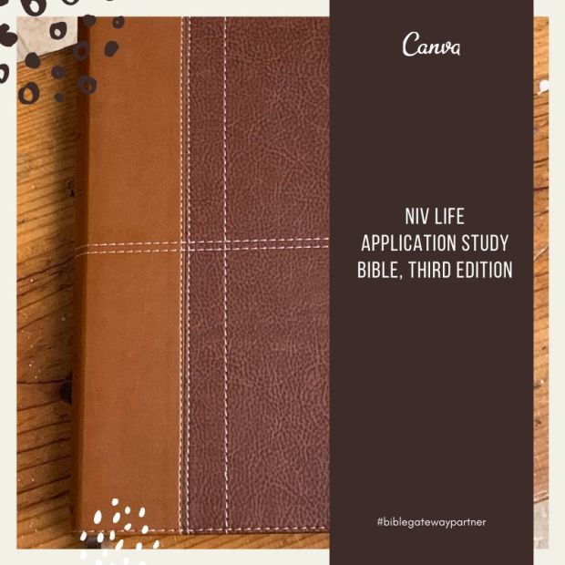 NIV Life Application study Bible, third edition