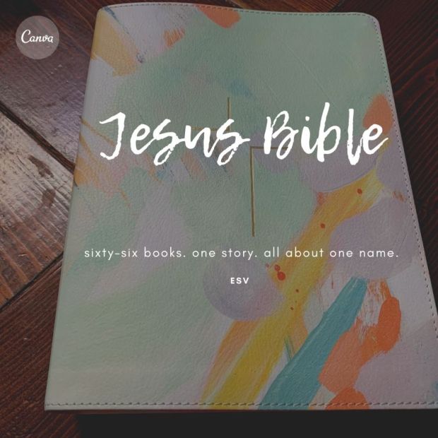 Jesus Bible