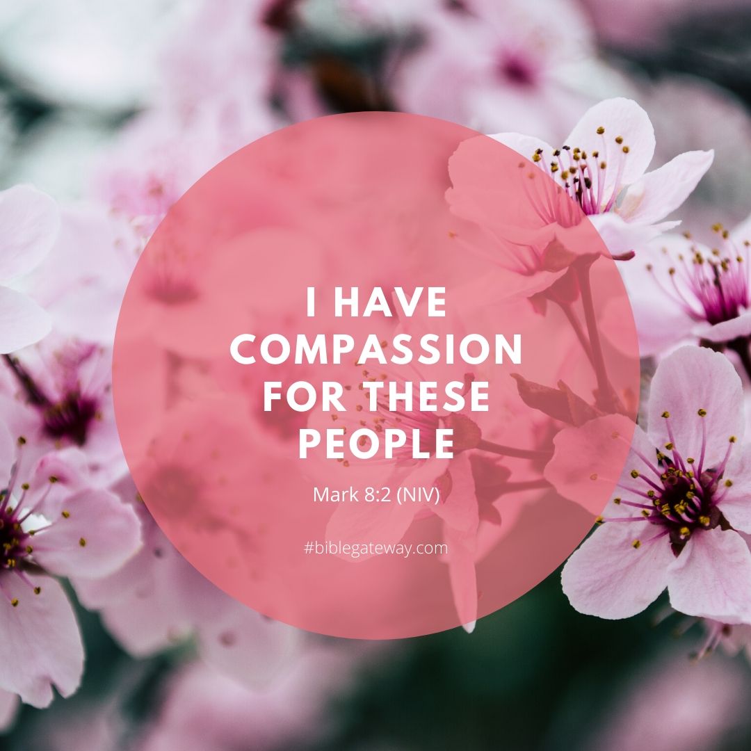 I have compassion for these people