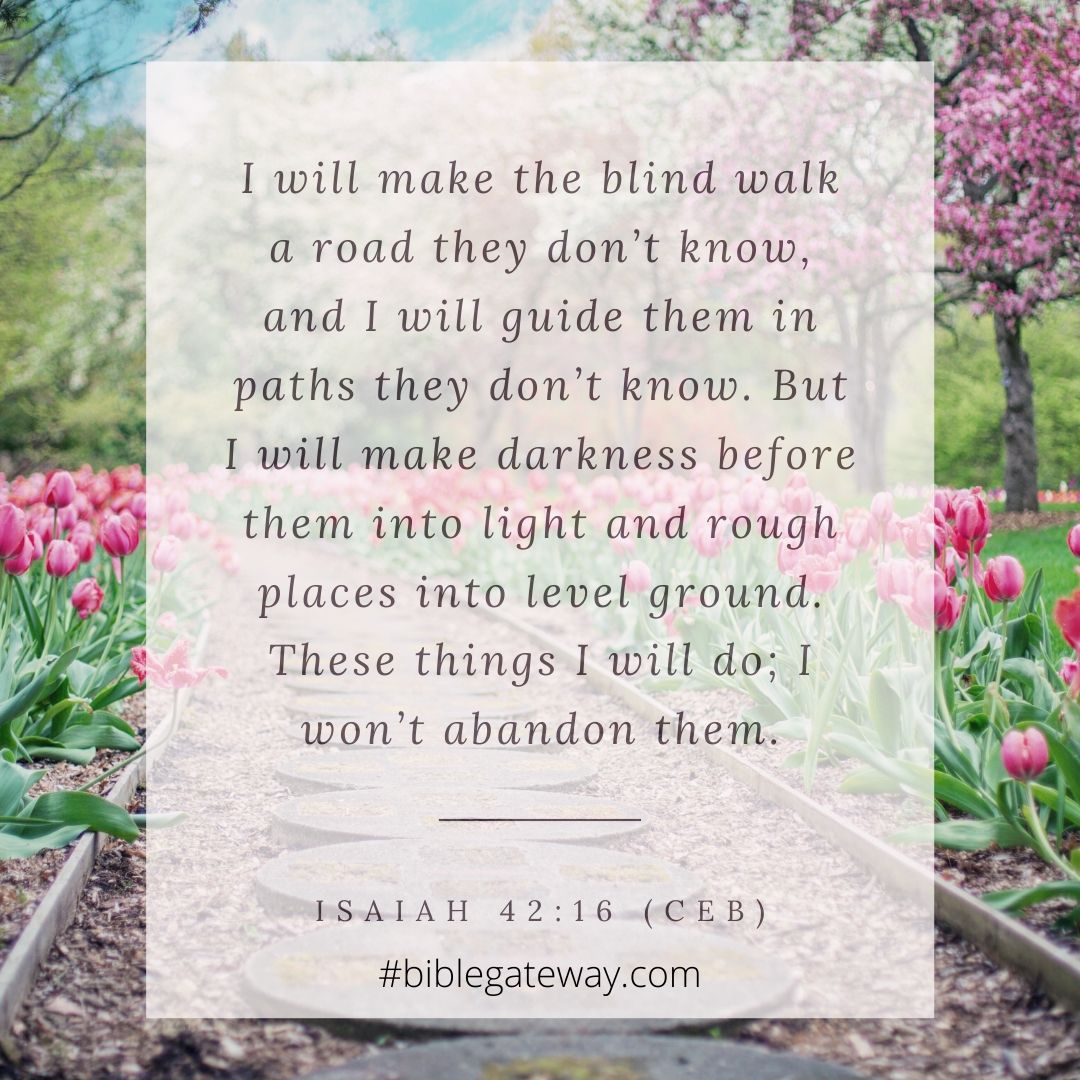 Memories, even your most precious ones, fade surprisingly quickly. But I don’t go along with that. The memories I value most, I don’t ever see them fading.