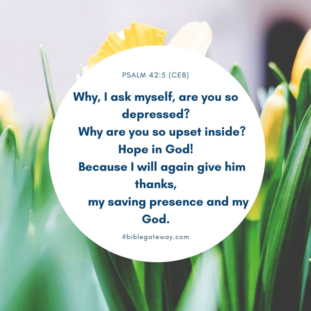 Psalm 42_5 (CEB)
