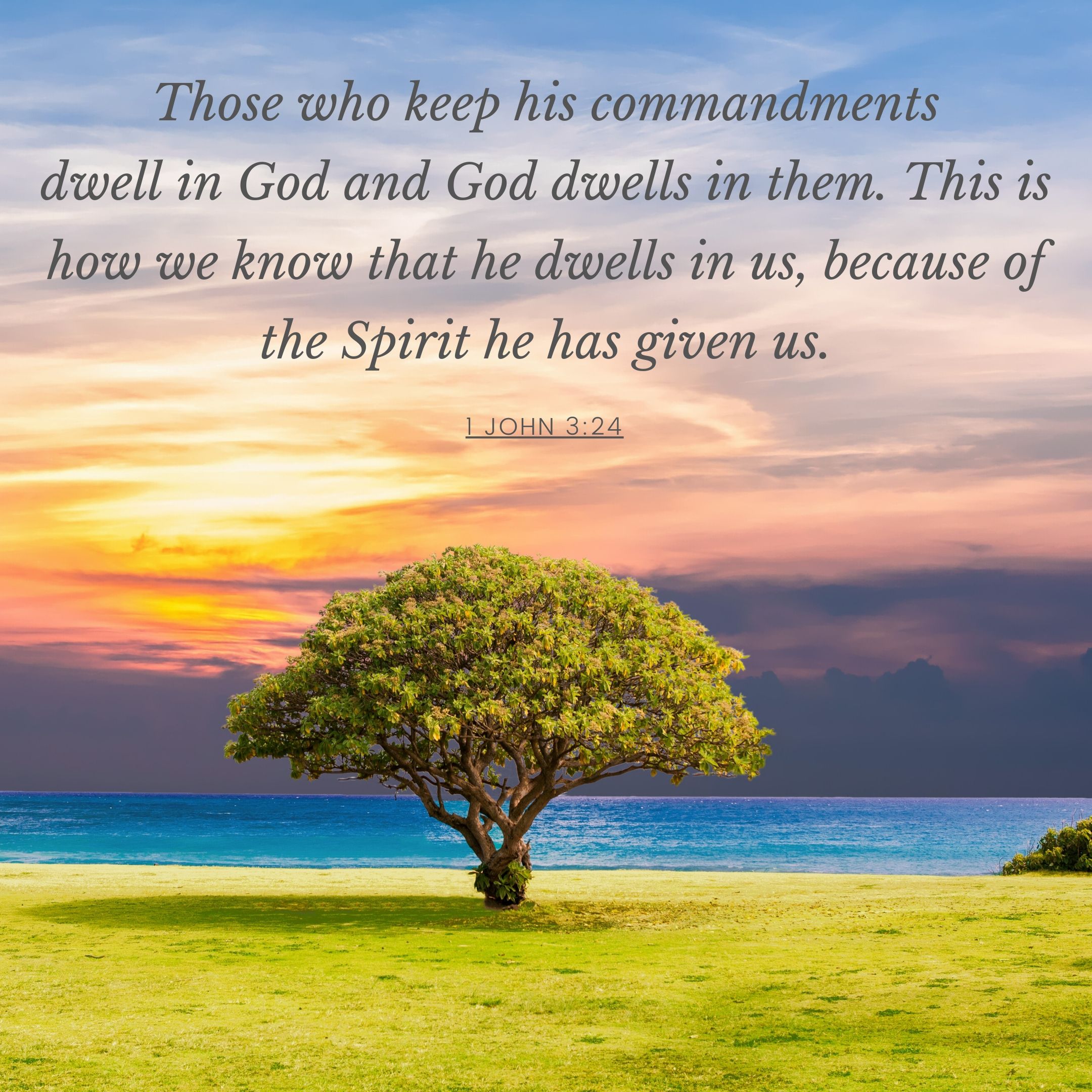 confession-457-the-indwelling-of-christ-confessions-of-the-pastor-s-wife
